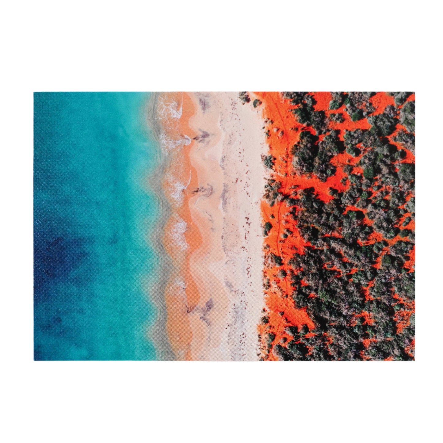 Bottle Bay Postcard