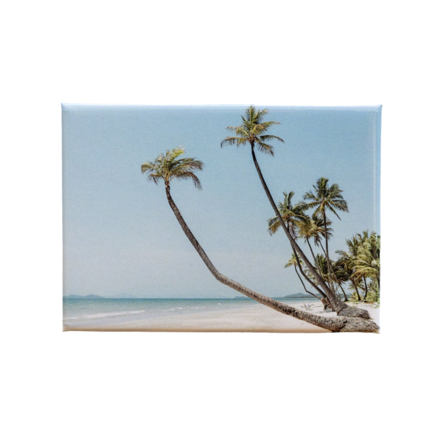 Mission Beach Magnet