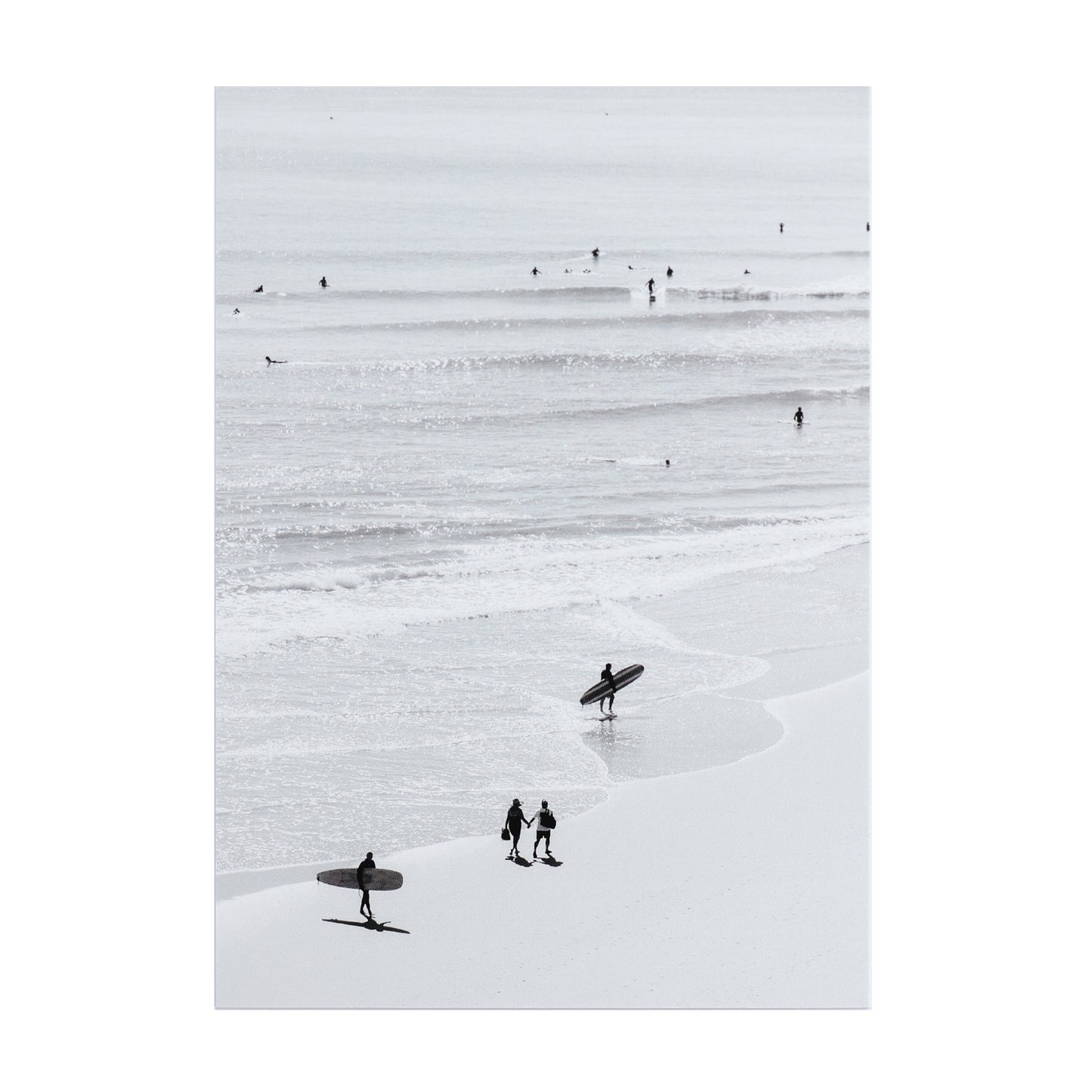 Salty Morning Postcard