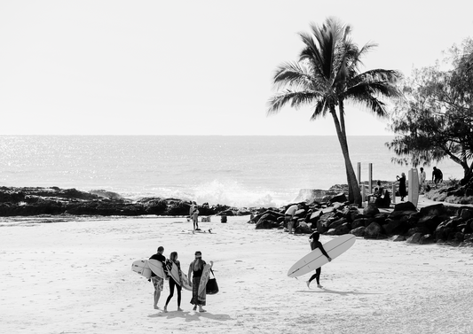 Australian Prints by Mackenzie Sweetnam. A group of surfers walk past palm trees.