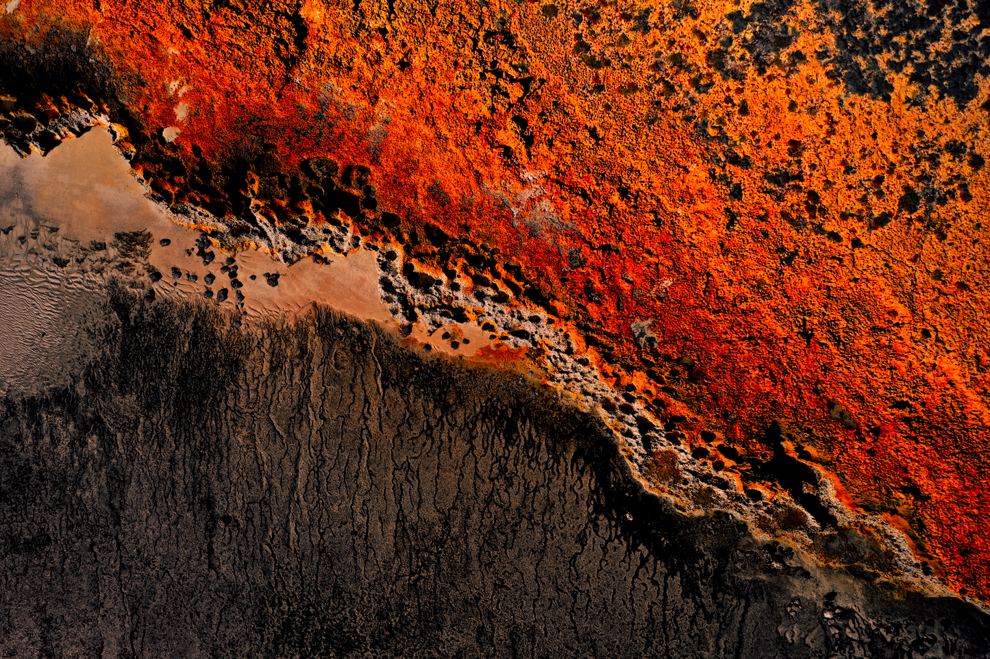 Australian Prints by Mackenzie Sweetnam. An aerial image of a rocky coastline featuring warm tones in Western Australia.