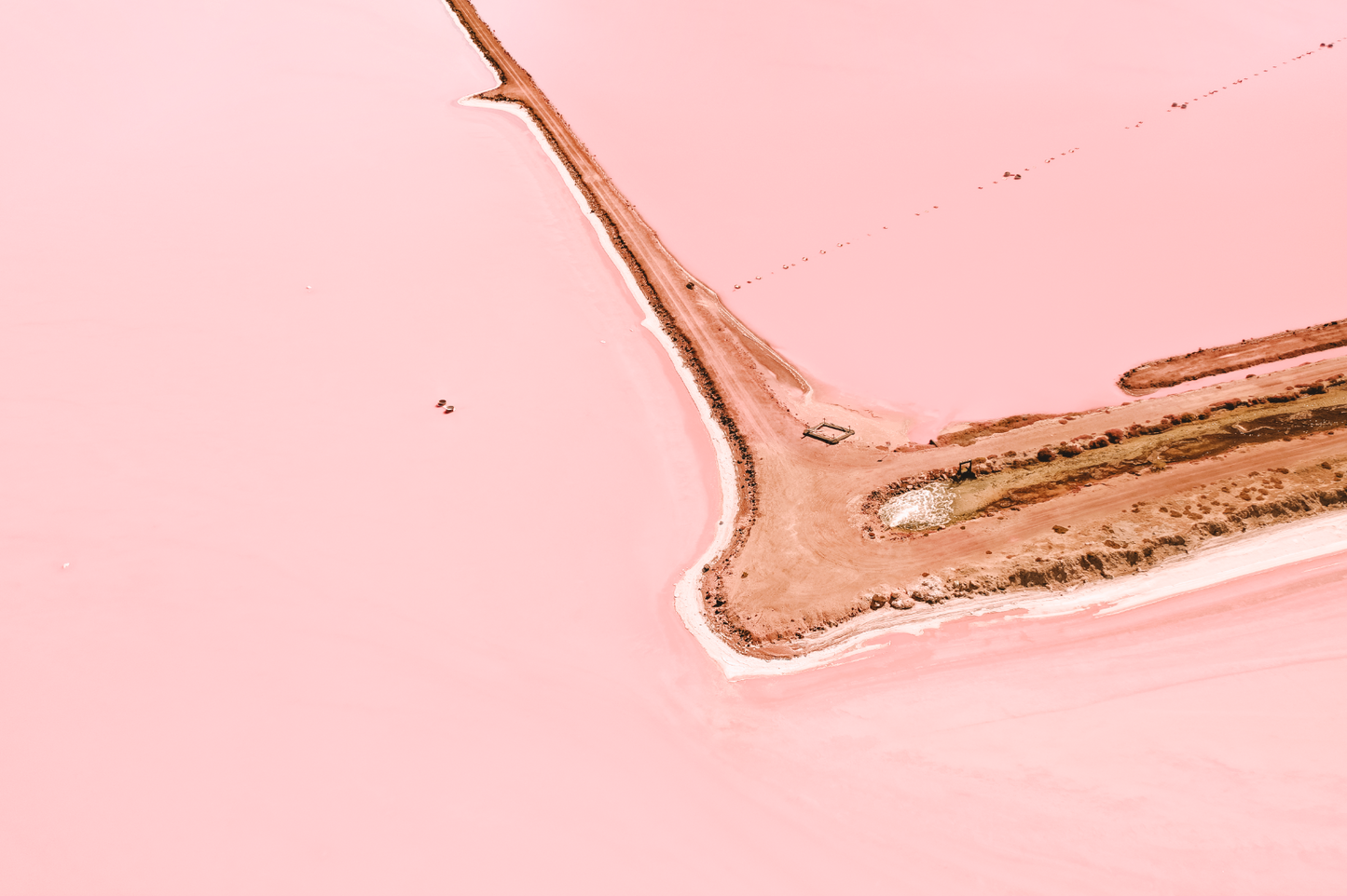 Australian Prints by Mackenzie Sweetnam.  An aerial abstract view of Hutt Lagoon, Western Australia.