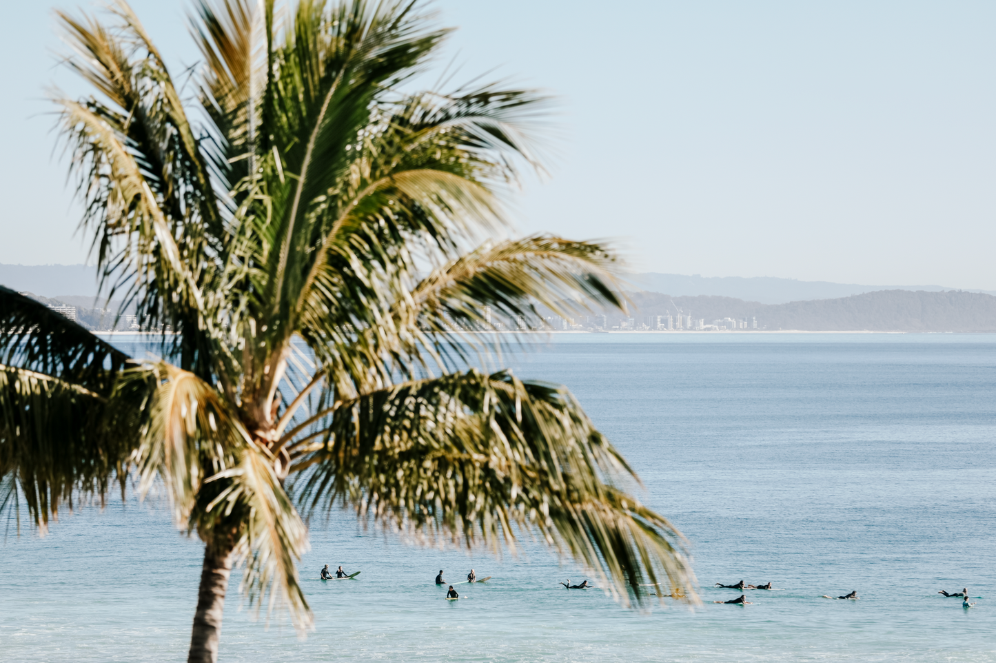 Australian Prints by Mackenzie Sweetnam. Palm tree surfers.