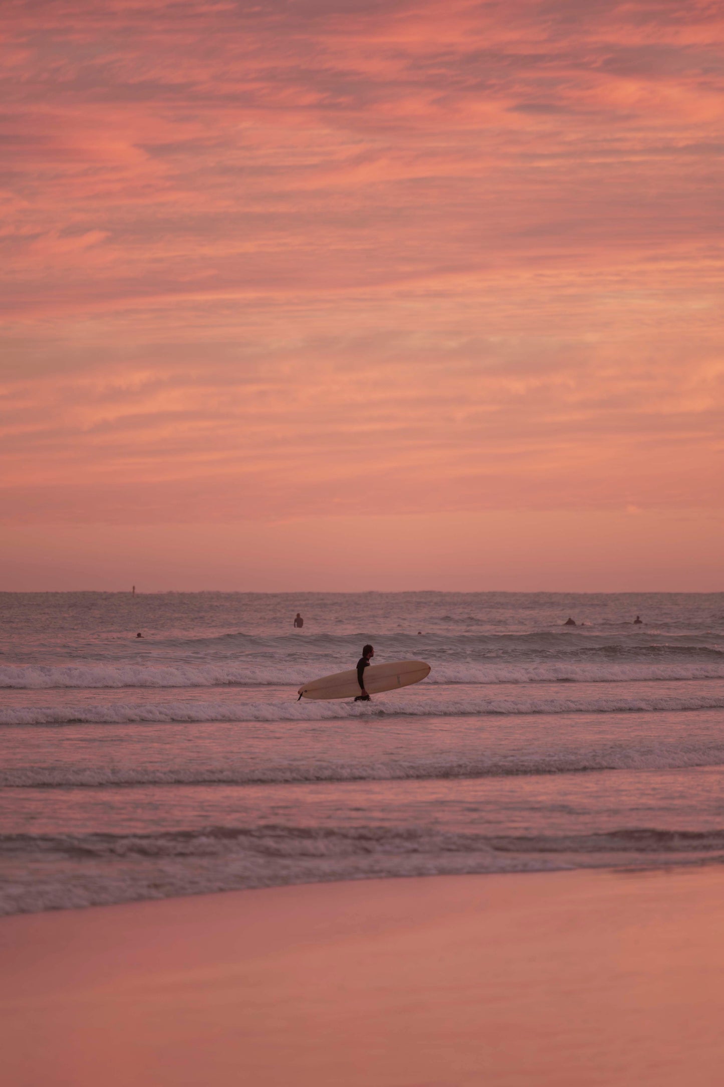 Sun-Kissed Surfer